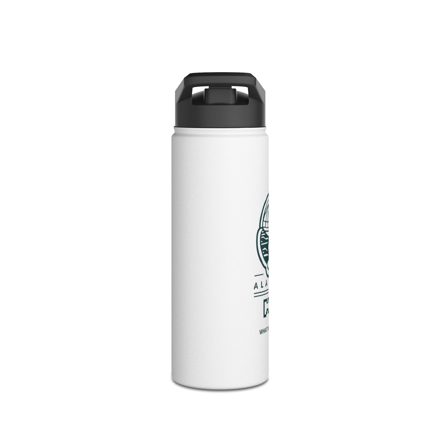 Stainless Steel Water Bottle, Standard Lid